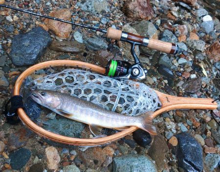 増水の谷でイワナ釣り